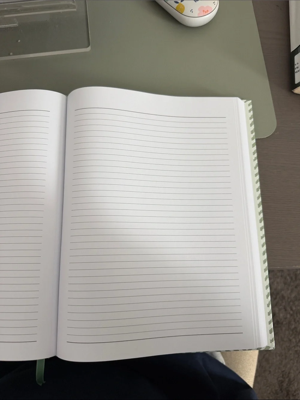 Journal Notebook in Sage Green - Hardcover Lined Journal